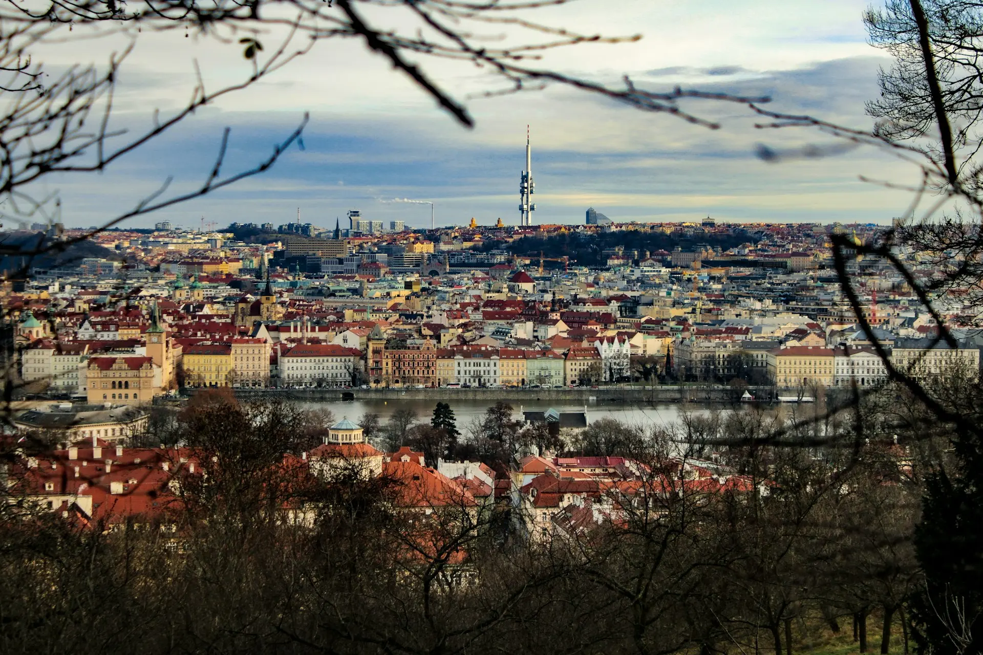 a view of a city from a distance